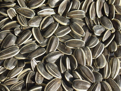 sunflower seeds