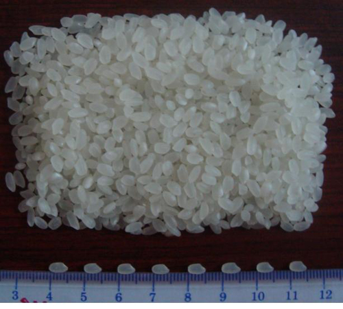 Vietnam Round Rice Japonica 5% Broken