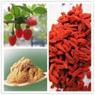 Wolfberry extract 