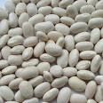 White Kidney Bean Extract