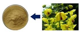 Cassia Nomame Extract