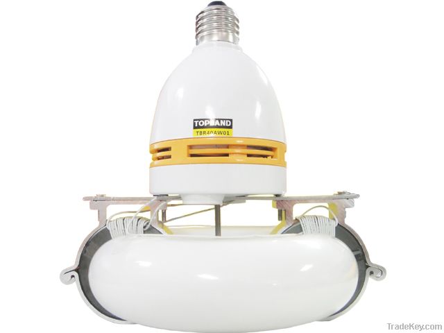 E27 Bulb, fluorescent induction lamp 40W