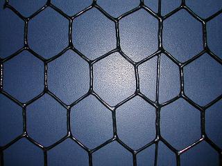 hexagonal  wire netting