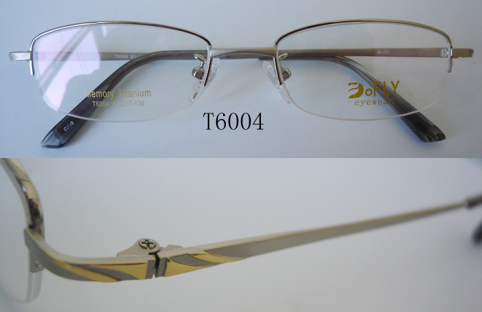 memory optical frame T6004