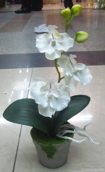 Mini Silk Bonsai Flower