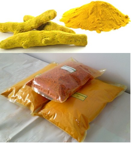 Curcuma Extract Turmeric Root Extract