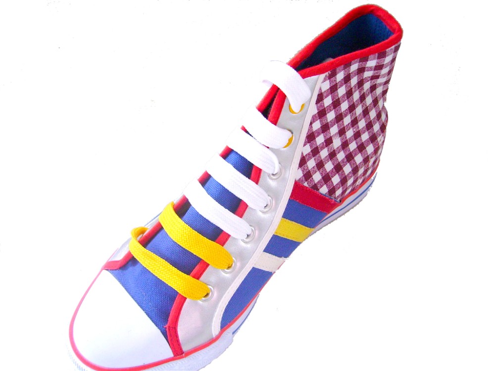 high top canvas shoe