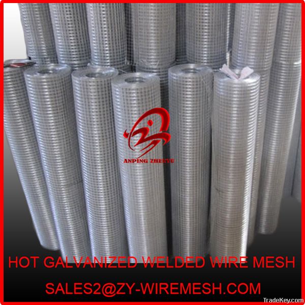 hot-dipped galvanized welded wire mesh