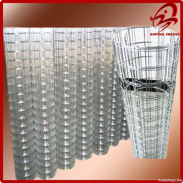 hot-dipped galvanized welded wire mesh