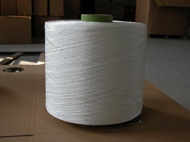 High Tenacity Twisted Polyester Yarn