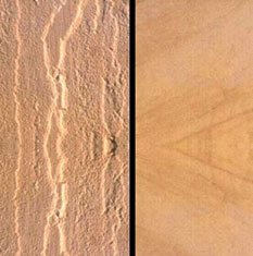 Sandstone tiles