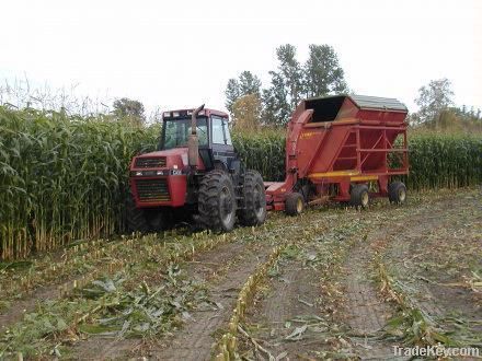 Corn Silage