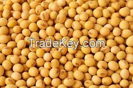 Soybeans GMO