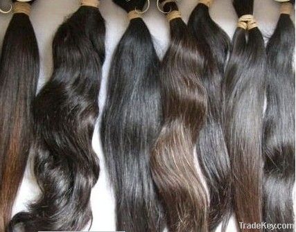 remy hair bulk  nautural virgin hair
