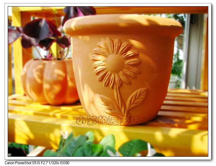 sunflower pot (terracotta)