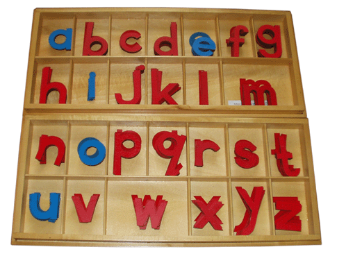 Large Wood Movable Alphabet, Print