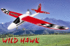 RC Airplane-Wild Hawk-Easy control glider, CHINA