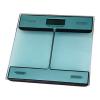 Glass Electronic Personal Scale