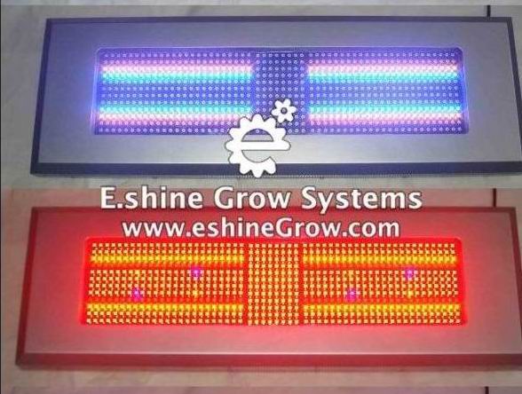 700W LED Prow Panel