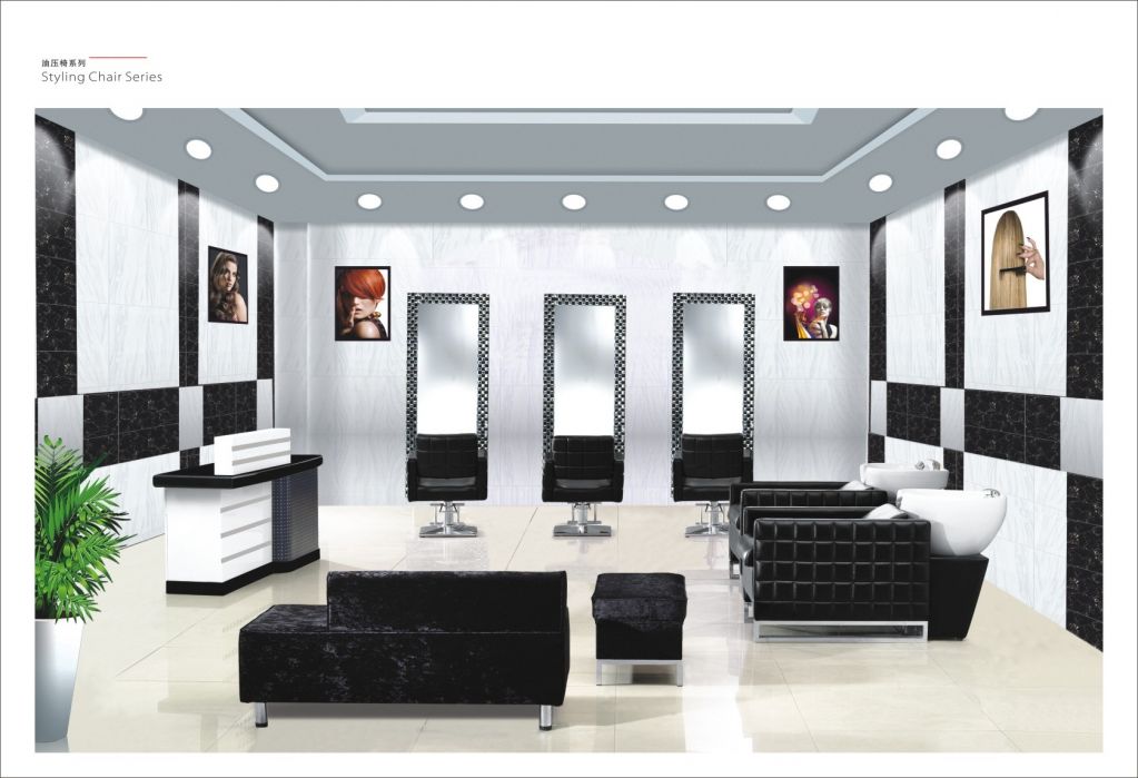 Salon Furniture