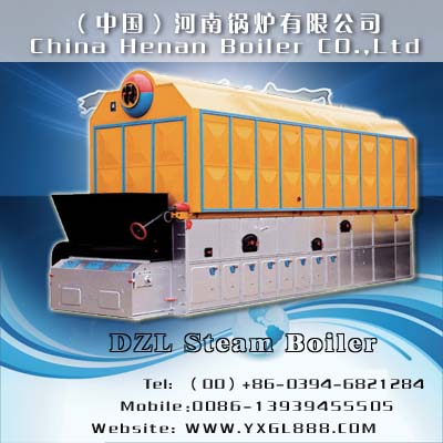 DZL coal fired boiler, steam boiler, hot water boiler