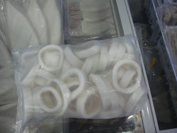 Frozen Todarodes Squid Products