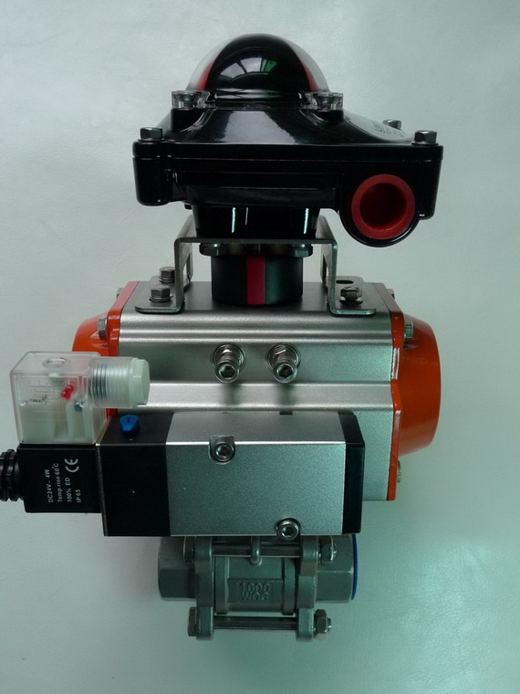 pneumatic actuator