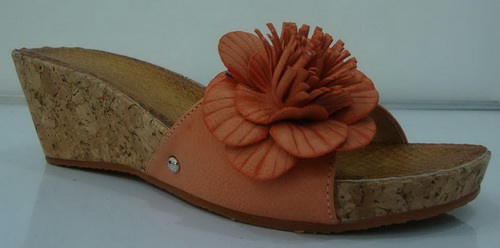 lady slipper shoe