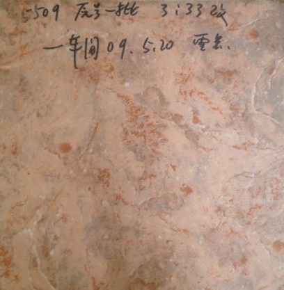 glazed ceremic tiles 500x500 5509
