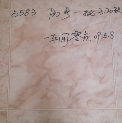 glazed ceremic tiles 500x500 5583