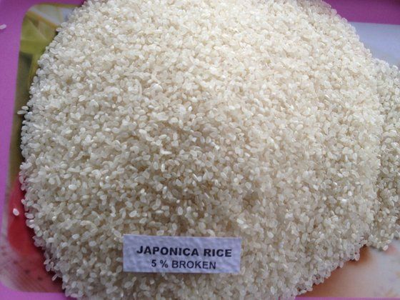 Japonica Rice 5%