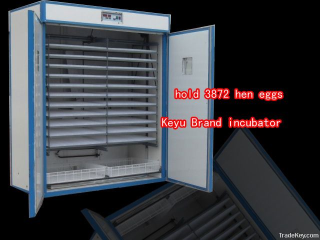 large hatchering machine for poultry