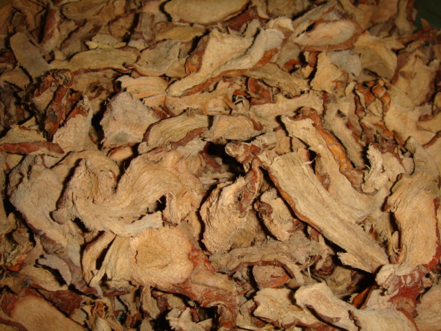 Dried Galangal slice