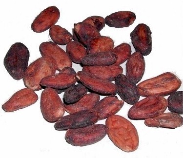 COCOA Beans