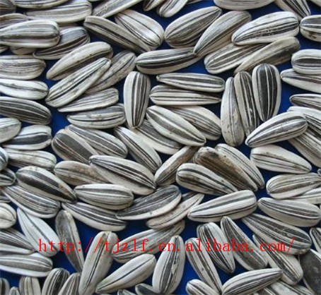 Sunflower seed