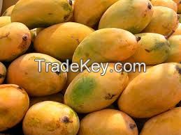 Chaunsa Mango No. 1 Quality