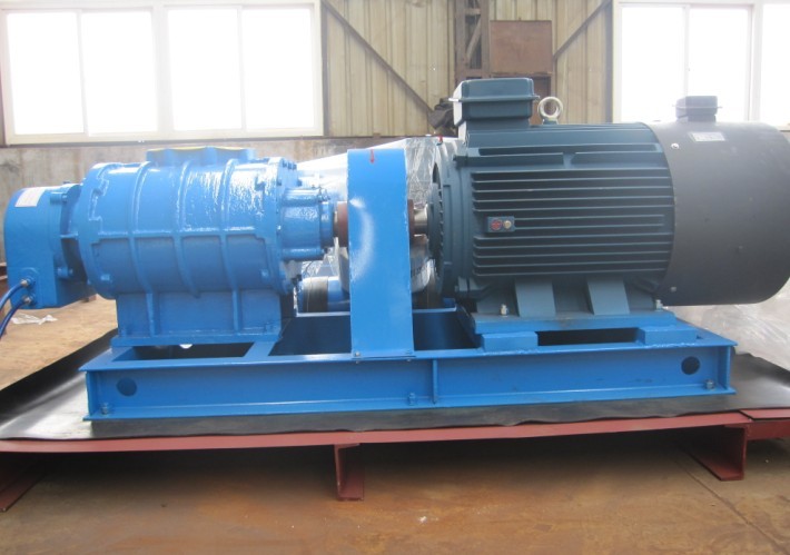 sewage treatment blower