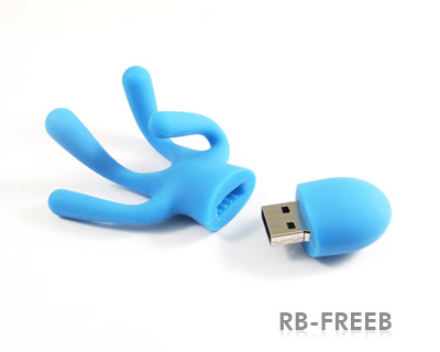 USB Flash Drive (RB-FREE)
