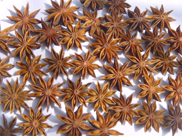 star aniseed