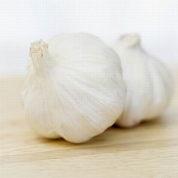 china fresh garlic