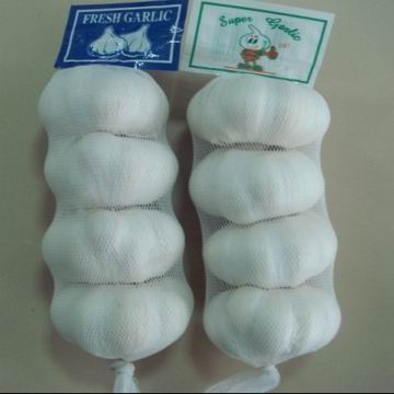 china fresh normal white garlic