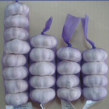 pure/normal white garlic