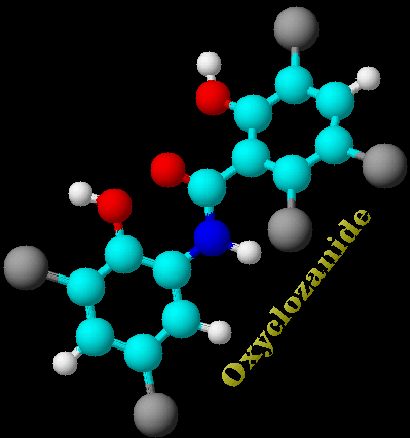 Oxyclozanide B.P. (Vet)
