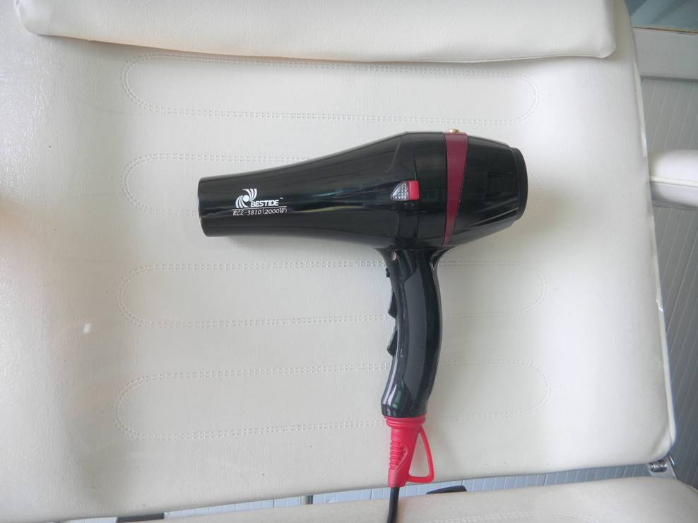 RCE-3810 PROFESSIONAL HAIR DRYER