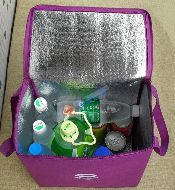 cooler bag