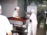 Dry Meat (Beef) Production Line