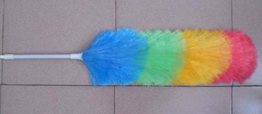color pp duster