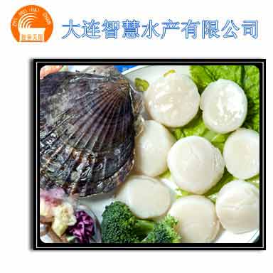 Frozen sea scallops adductor