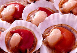 Frozen half shell scallop