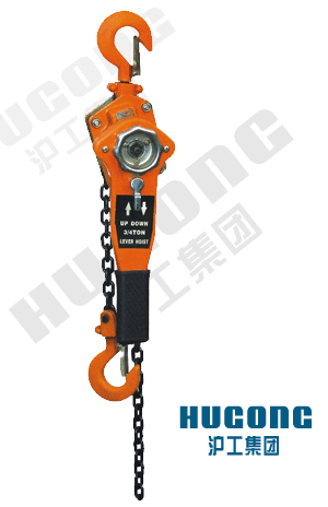 VA lever hoist